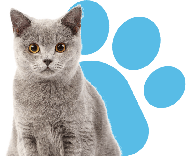 article-slider